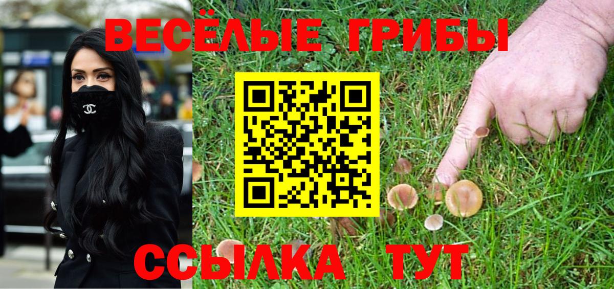 Псилоцибиновые грибы Psilocybine cubensis  Псилоцибиновые грибы ЛСД  Вход с VPN  Мценск 