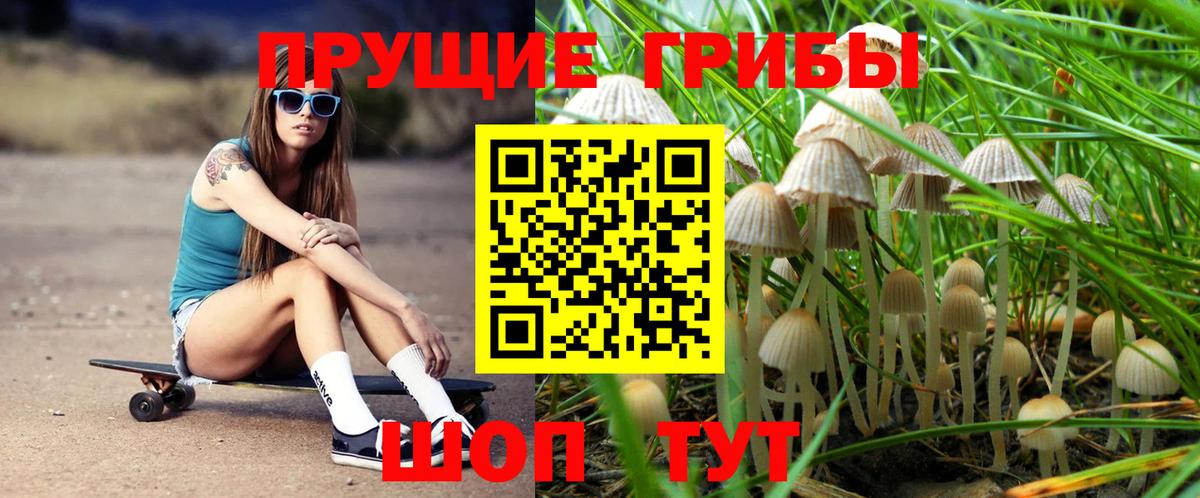 Галлюциногенные грибы мицелий Мценск